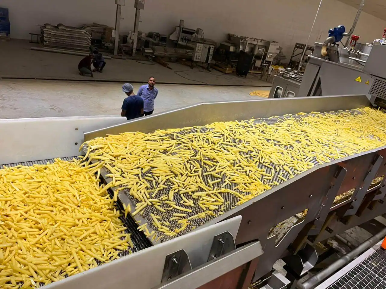 Industrial Automatic Chips Making Machine India